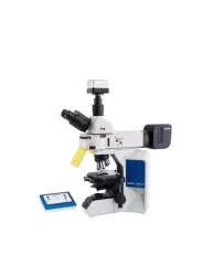 Microscope Research Grade Fluorescence Similar Microscope  Mshot MF43N