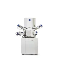 Microscope Scanning Electron Microscopes  ZEISS GeminiSEM 460 