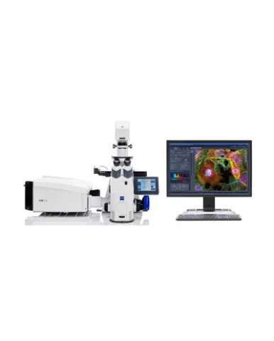 Microscope Laser Scanning Microscopes - ZEISS LSM 980 with Airyscan 2 1 zeiss_lsm_980_with_airyscan_2